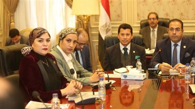 أشرف صبحي: لسنا ضد أحد ونحترم المؤسسات الدولية بما لا يجور على السيادة الوطنية
