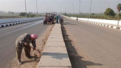 استكمال أعمال تهيئة الطرق الرئيسية ومداخل قرى شربين بالدقهلية