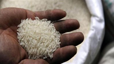 الحكومة تكشف حقيقة وجود أزمة في الأرز بالأسواق