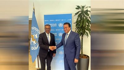 عبدالغفار يلتقي مدير منظمة الصحة العالمية بجنيف لبحث التعاون المشترك