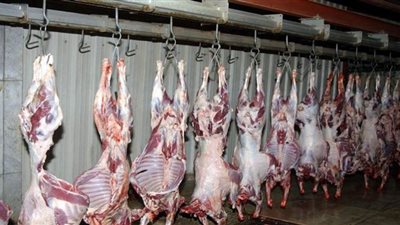 في مطاي .... توزيع 700 كيلو لحوم بلدي على الأكثر احتياجا والأولى بالرعاية