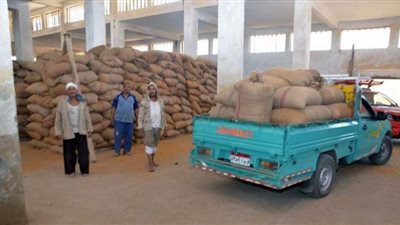 استلام 147 ألف و440 طناً من القمح بالصوامع والشون بنسبة 64 % ببني سويف
