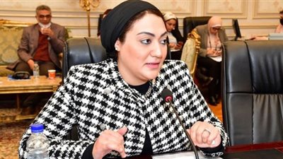 أسماء الجمال تطالب التنمية المحلية برفع المعاناة عن قرى مركز الصف بالجيزة