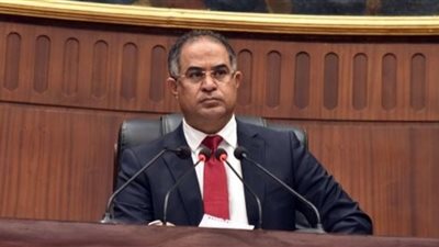 وهدان يطالب بإنصاف أهالي قرية بحر البقر من قرار محافظ بورسعيد الجائر