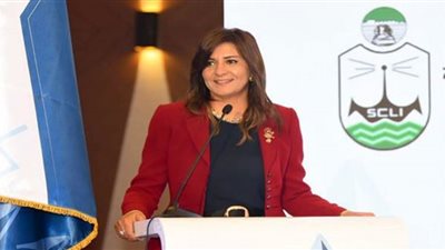 بالأرقام| عدد المصريين في الخارج المشاركين في وثيقة التأمين