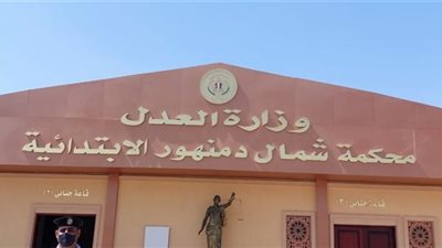 محكمة جنايات دمنهور تسدل الستار على جريمة قاتل أمه بالإعدام