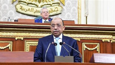 شعراوي: الأراضي الزراعية خط أحمر.. ولن نسمح بأي تعديات أو توسعات مخالفة عليها