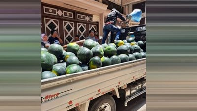 التحفظ علي 23 مكبر صوت فى حملة مكبرة على الباعة الجائلين بدمياط