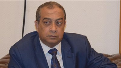 شعبة الجمارك: مد العمل برفع الحجز الإداري قبلة حياة للمستثمرين