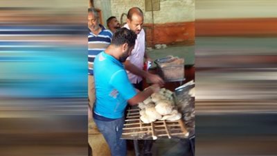 استمرار الحملات التفتيشية على المخابز البلدية ورفع المخلفات بمدينة القصير