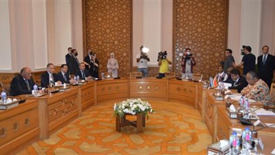 جلسة مشاورات سياسية بين مصر وجنوب إفريقيا
