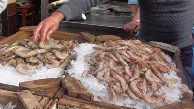 تعرف على أسعار الأسماك فى أسواق دمياط اليوم