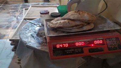 محافظ الدقهلية يحيل 148 مخالفة تموينية فى مجال الأسواق والمخابز إلى النيابة العامة