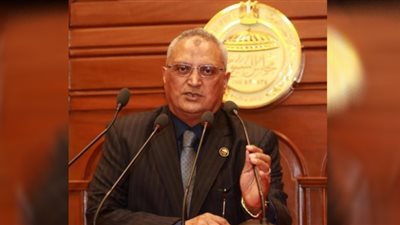 برلماني: المحاور المطروحة أمام الحوار الوطني تؤكد أنه بكل جرأة وشفافية