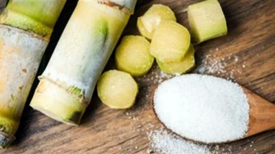 شركة السكر: توريد 200 ألف طن قصب.. وتسديد مستحقات الفلاحين خلال 15 يوما