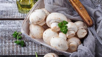 يعالج مرض مزمن.. دراسة تكشف مفاجأة تتعلق بتناول فطر 