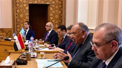 عاجل.. جلسة مباحثات بين وزير الخارجية ونظيره القبرصي