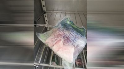 صحة البحر الأحمر تشن حملات تفتيشية على الفنادق ومنافذ بيع الأغذية