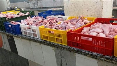 بيطري الشرقية يضبط 5 طن و657 كجم دجاج بمجزر يدوي للدواجن غير مرخص بمدينة العاشر من رمضان