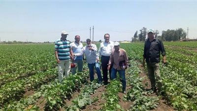 زراعة الشرقية تتابع عملية فحص زراعات القطن والذرة بإدارة أبوكبير الزراعية