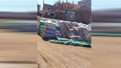 محافظ الدقهلية يحيل 79 مخالفة تموينة إلى النيابة العامة