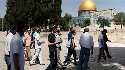 مستوطنون إسرائيليون يجرفون مساحات واسعة من أراضي الفلسطينيين في نابلس