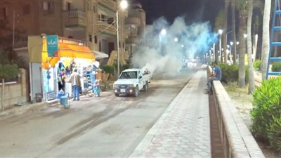 حملات لمكافحة الناموس والبعوض بمصيف بلطيم