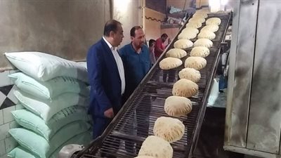 تحرير 27 محضر في حملة على مخابز أجا بالدقهلية