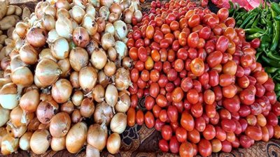 استقرار أسعار الخضروات بأسواق الفيوم
