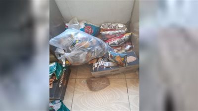 ضبط 250 كرتونة مسحوق غسيل مجهولة المصدر بقنا