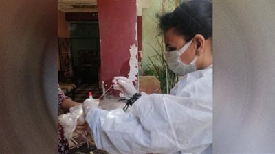 لجان بيطرية للتقصى عن الأمراض الوبائية بالطيور المهاجرة بالفيوم