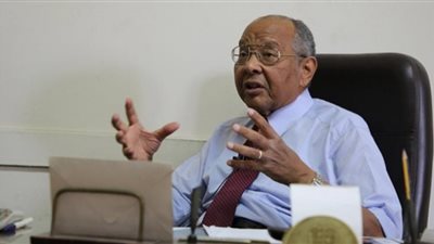 رئيس الجمعية الإفريقية لـ«الوفد»: مصر ساهمت فى دعم شعوب القارة السمراء
