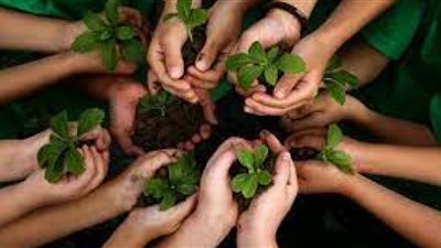 اقتصادي: الاستثمارات المصرية في الأنشطة الخضراء تستهدف تشجيع القطاع الخاص