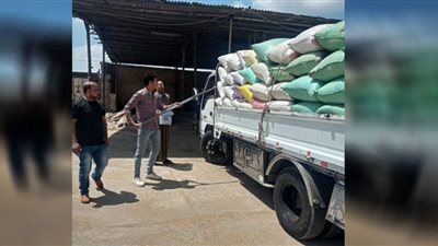 مواقع التخزين بالغربية تستقبل 123 ألف طن من القمح
