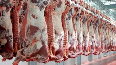 أسعار اللحوم البلدي في محلات الجزارة
