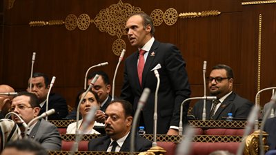 تضامن الشيوخ: 