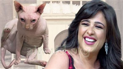 قط ياسمين عبد العزيز المرعب يجعلها الاكثر بحثًا بالوطن العربي