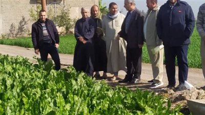 يوم حقل زراعي عن محصول بنجر السكر بكفر صقر