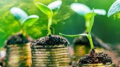 أستاذ اقتصاد: توجه مصري نحو زيادة الاستثمارات الخضراء والأنشطة الصديقة للبيئة