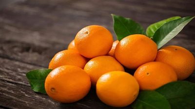 أسعارها على أد الإيد.. أطعمة تقوي الذاكرة قبل الامتحانات