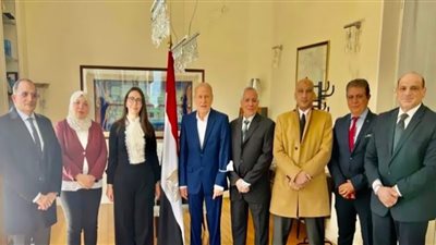 صور.. قنصل مصر العام بجنوب فرنسا تطالب الجالية المصرية بدعم الجمهورية الجديدة