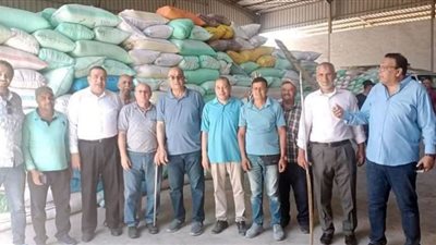 توريد 276 الف طن قمح لشون وصوامع الدقهلية حتى الآن