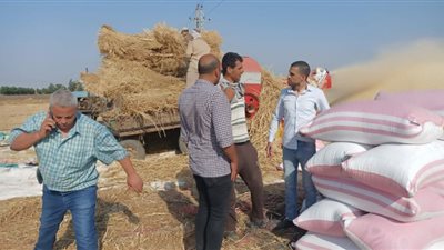 محاضر تموينية ضد مزارعين بالبحيرة امتنعوا عن توريد الاقماح