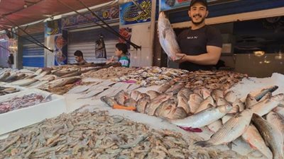 أسعار الأسماك 