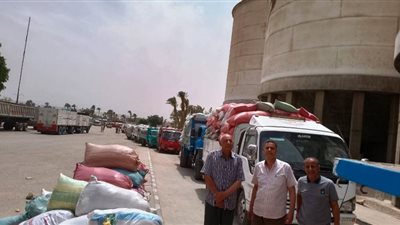 محافظ سوهاج: توريد أكثر من 73 ألف طن قمح من المزارعين حتى الآن