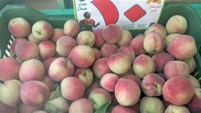 بأسعار في متناول الجميع.. توافر الخضروات والفاكهة بالفيوم