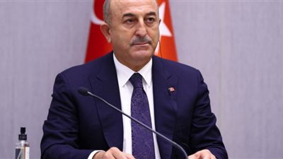 تركيا تستدعي سفيري ألمانيا وفرنسا