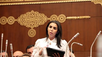 النائبة سها سعيد: وزارة التخطيط طموحة ولكن خطتها بعيدة عن قدرات الجهات المعنية