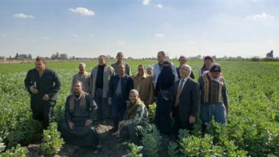 زراعة الشرقية تُنفذ مدرسة حقلية عن محصول الفول البلدي بأبو كبير