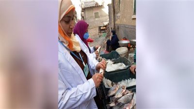 بيطري الشرقية يُحرر 11 محضرًا ويضبط 134كجم لحومًا وأسماكًا مخالفة خلال حملات تفتيشية